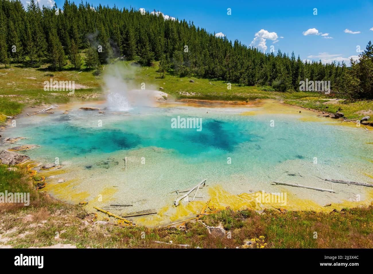 Vista soleggiata dello splendido paesaggio di Imperial Geyser nel Wyoming Foto Stock