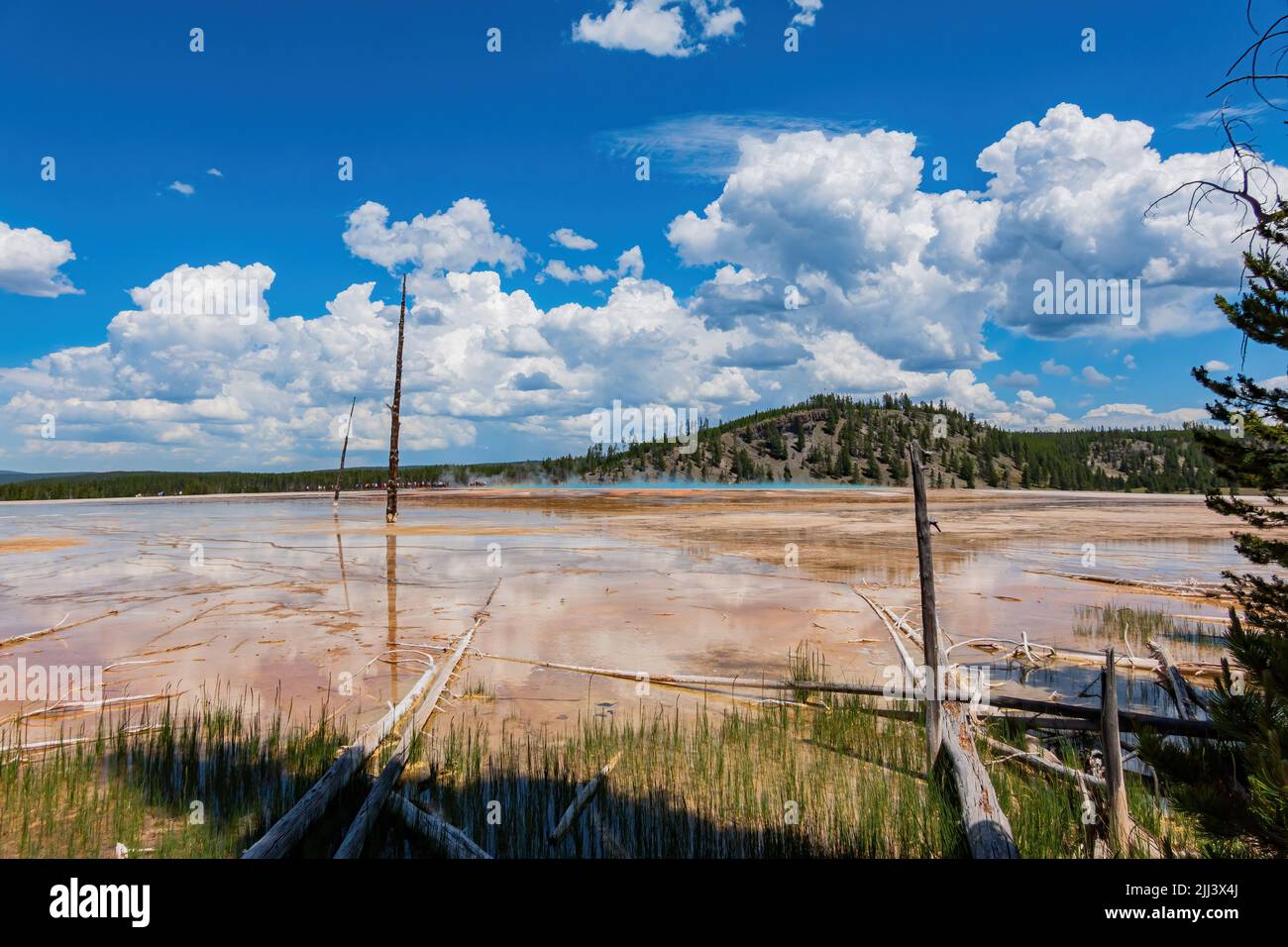 Vista soleggiata del bellissimo paesaggio lungo la sorgente prismatica Grand da terra in Wyoming Foto Stock