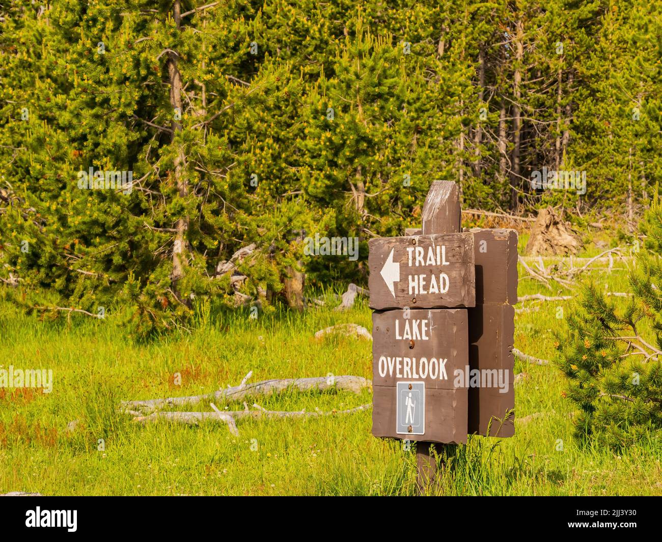 Trailhead del Lago di Yellowstone Overlook Trail a Wyoming Foto Stock