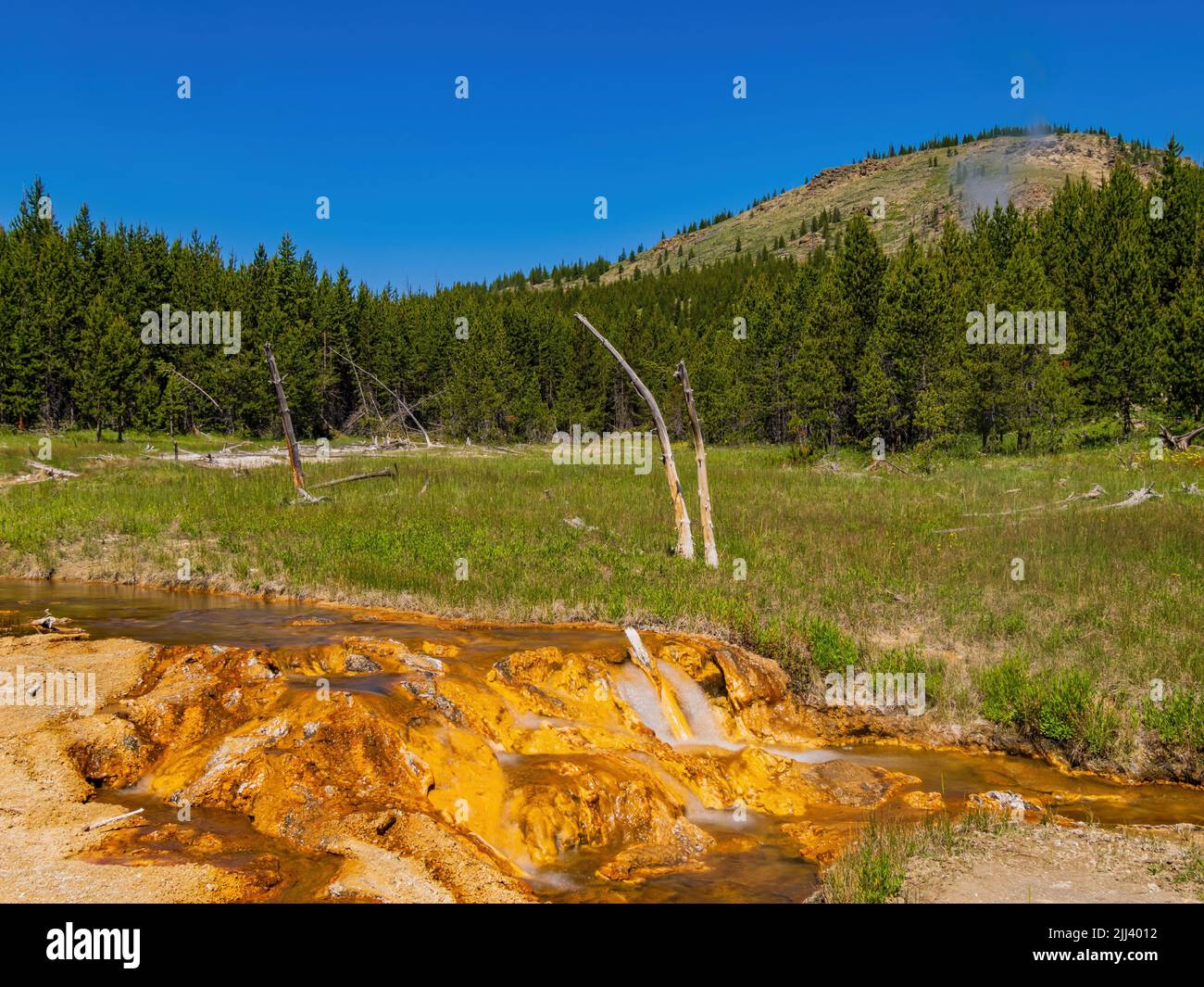 Vista soleggiata del bellissimo paesaggio lungo il sentiero Imperial Geyser nel Wyoming Foto Stock