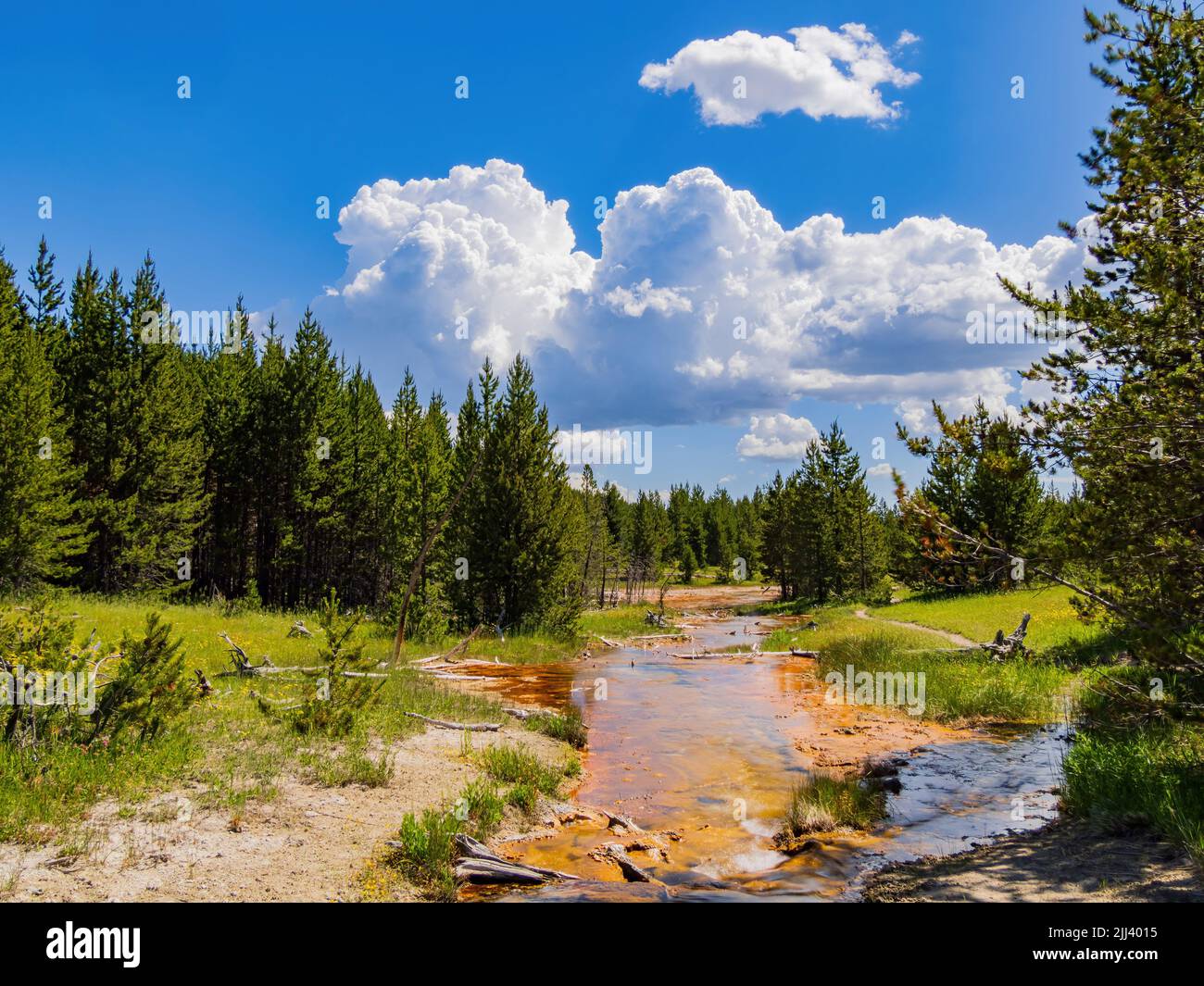 Vista soleggiata del bellissimo paesaggio lungo il sentiero Imperial Geyser nel Wyoming Foto Stock