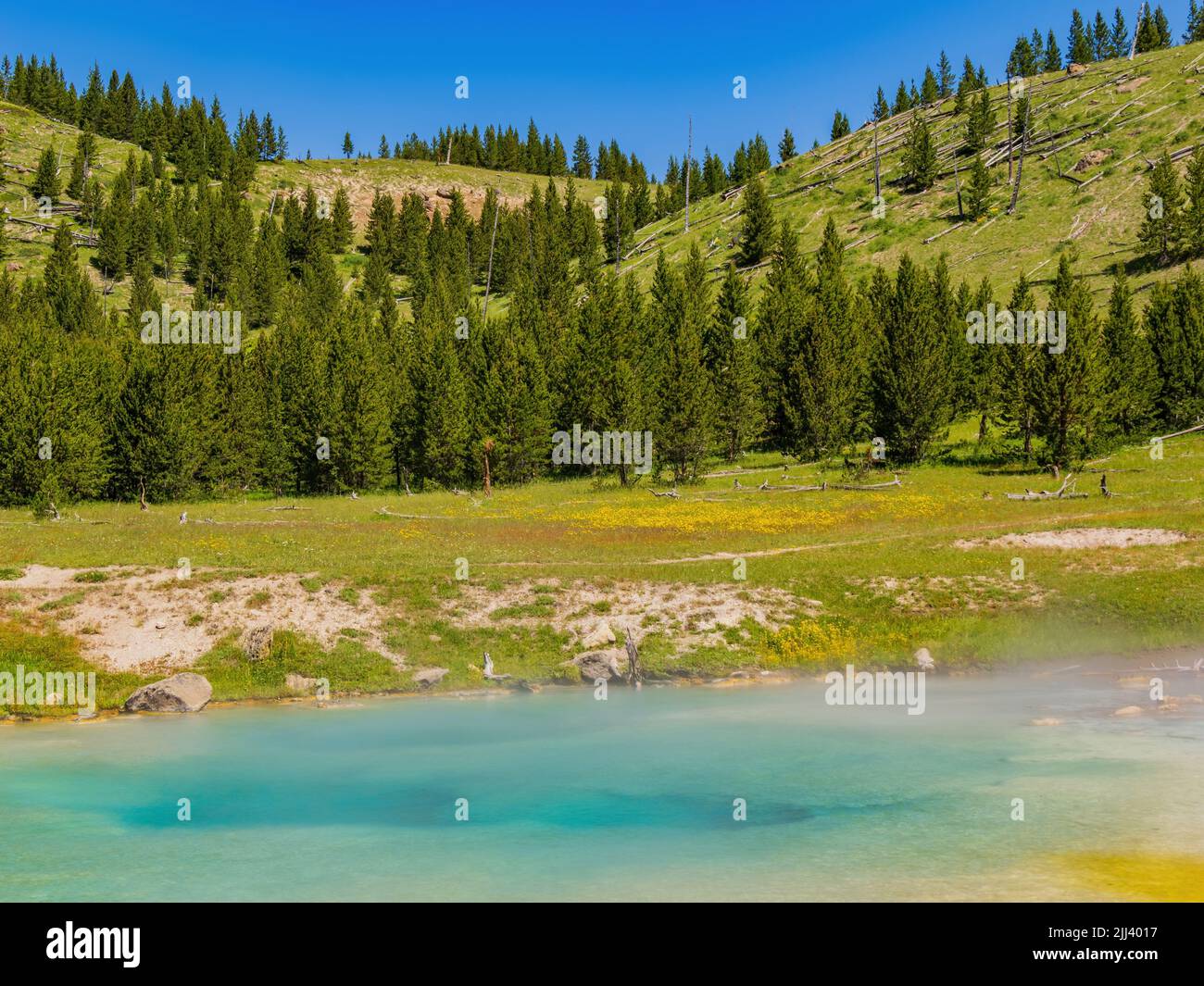 Vista soleggiata dello splendido paesaggio di Imperial Geyser nel Wyoming Foto Stock