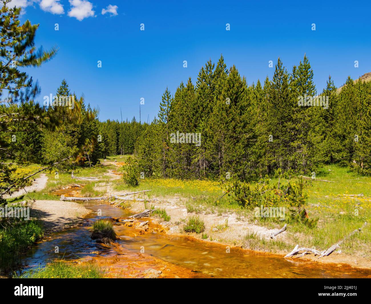 Vista soleggiata del bellissimo paesaggio lungo il sentiero Imperial Geyser nel Wyoming Foto Stock