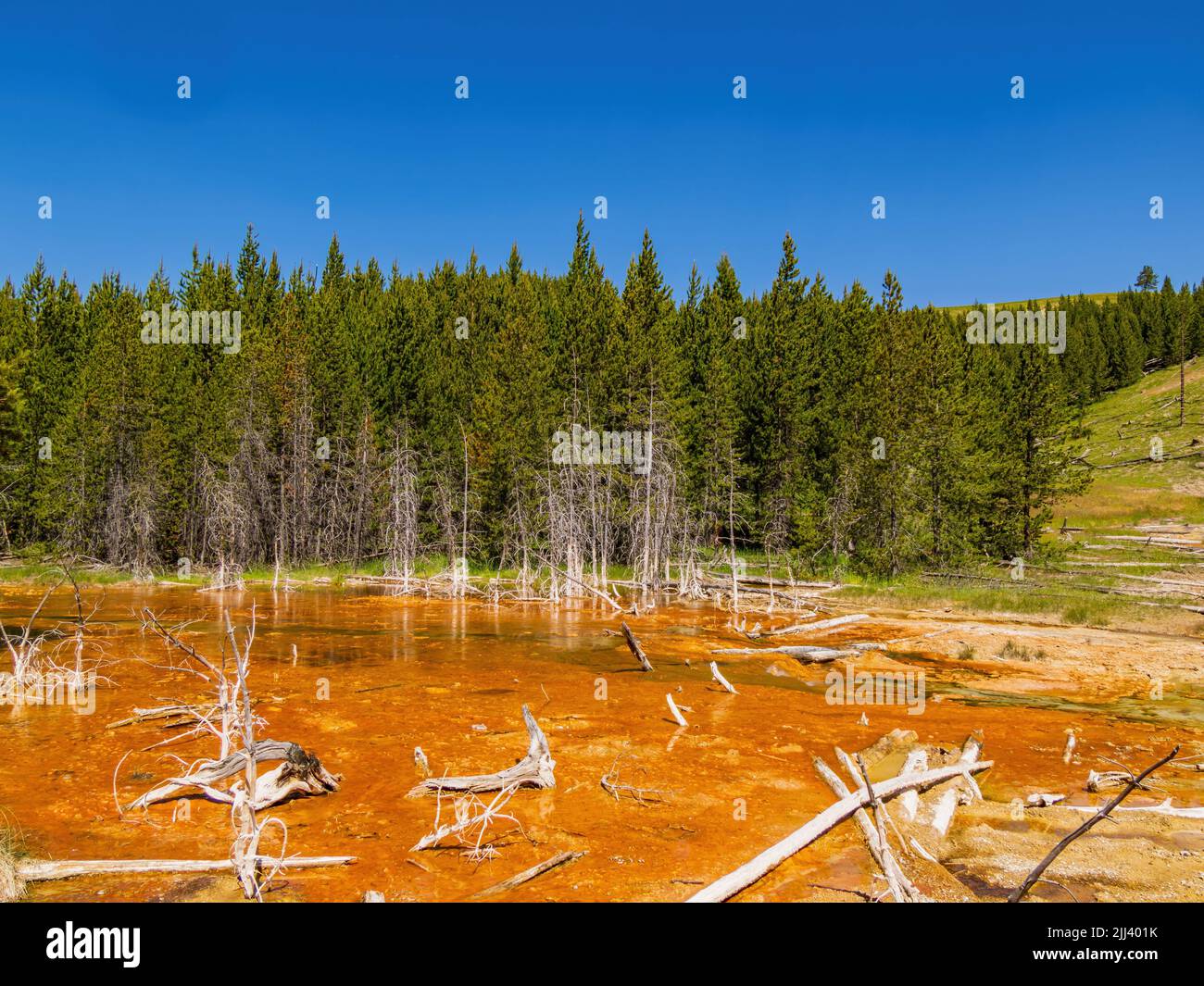 Vista soleggiata del bellissimo paesaggio lungo il sentiero Imperial Geyser nel Wyoming Foto Stock