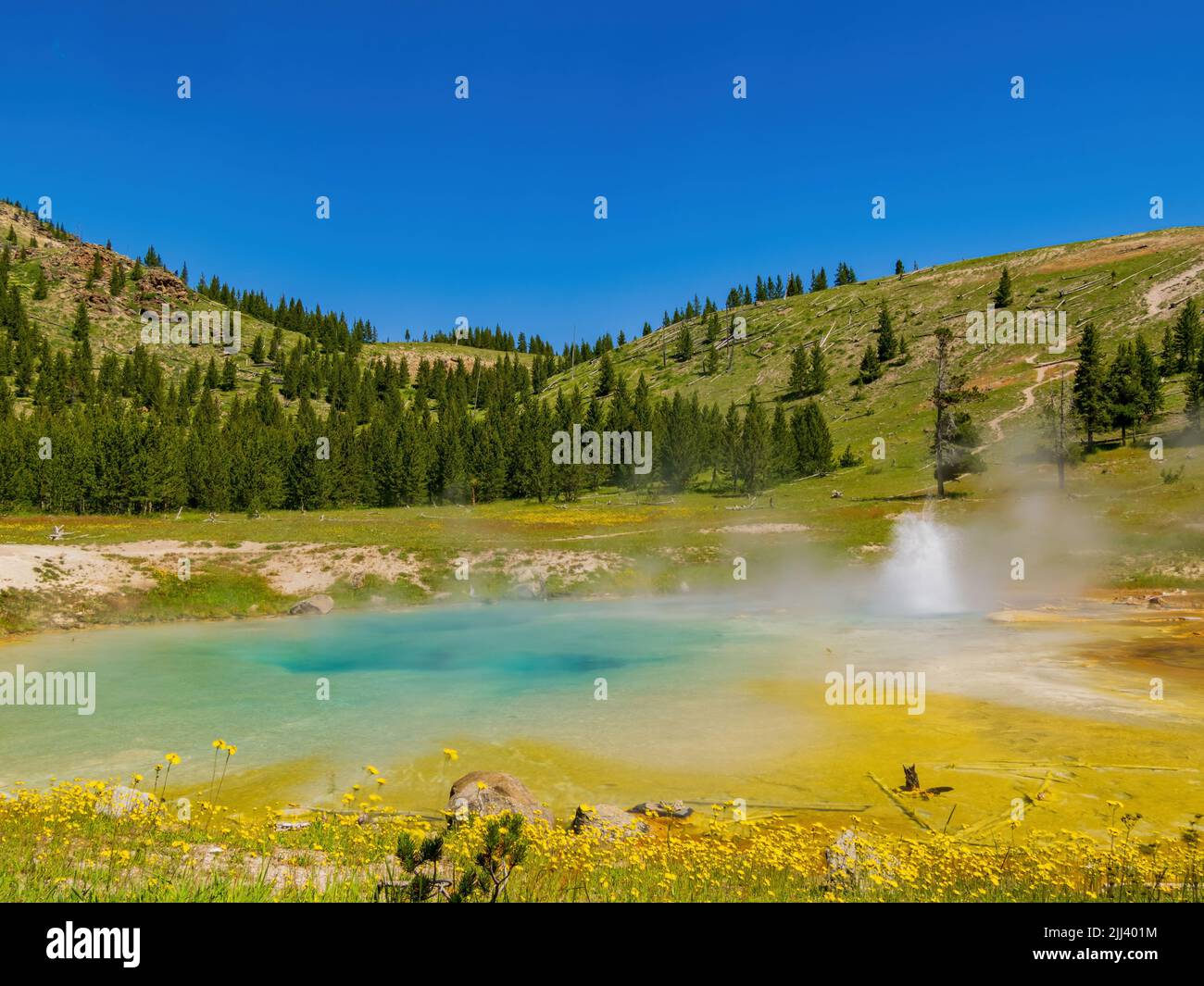 Vista soleggiata dello splendido paesaggio di Imperial Geyser nel Wyoming Foto Stock