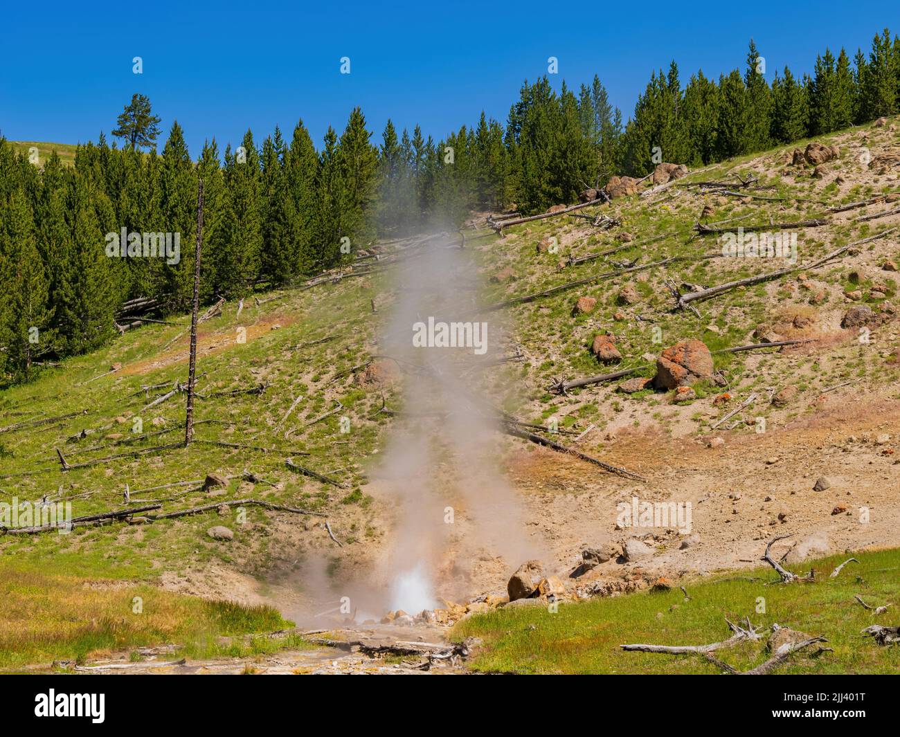 Vista soleggiata del bellissimo paesaggio lungo il sentiero Imperial Geyser nel Wyoming Foto Stock
