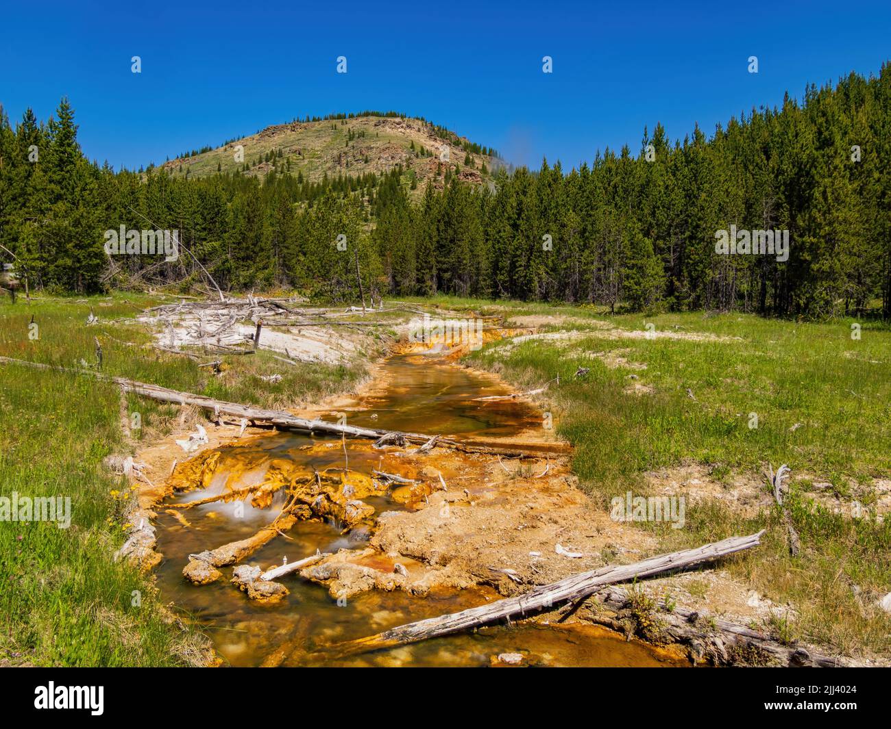 Vista soleggiata del bellissimo paesaggio lungo il sentiero Imperial Geyser nel Wyoming Foto Stock