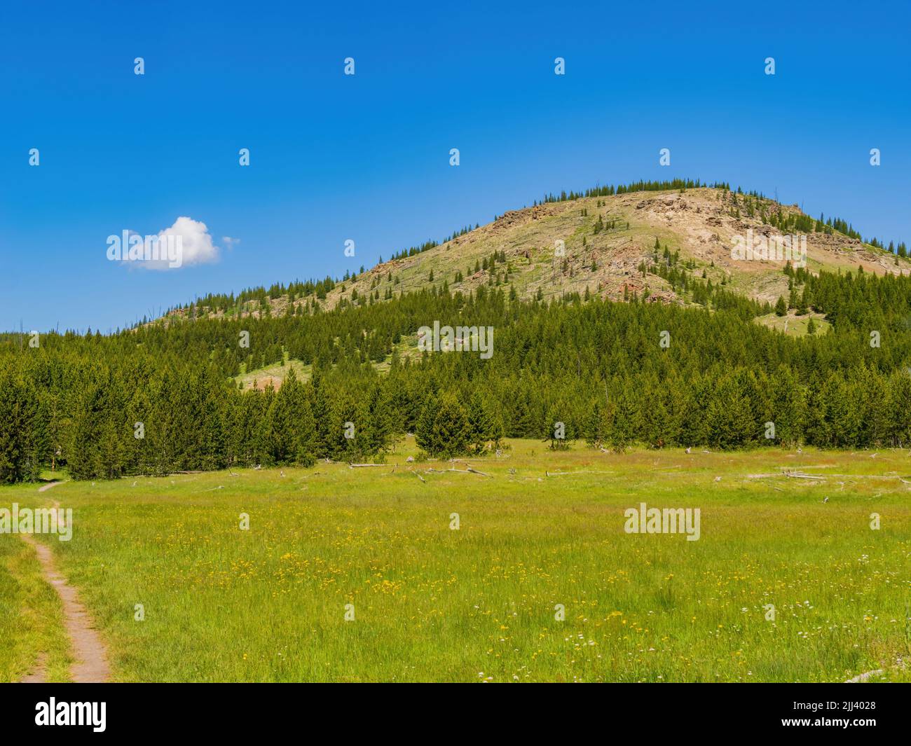 Vista soleggiata del bellissimo paesaggio lungo il sentiero Imperial Geyser nel Wyoming Foto Stock