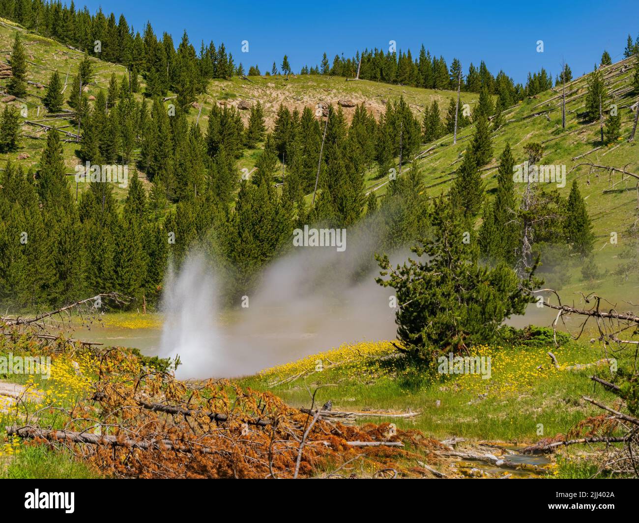 Vista soleggiata dello splendido paesaggio di Imperial Geyser nel Wyoming Foto Stock