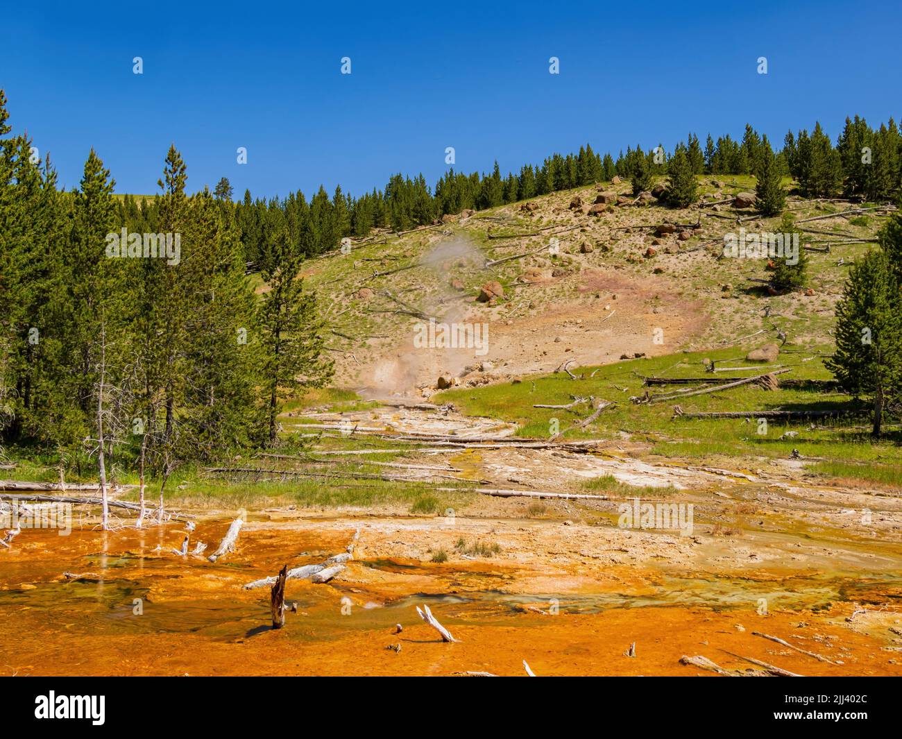 Vista soleggiata del bellissimo paesaggio lungo il sentiero Imperial Geyser nel Wyoming Foto Stock