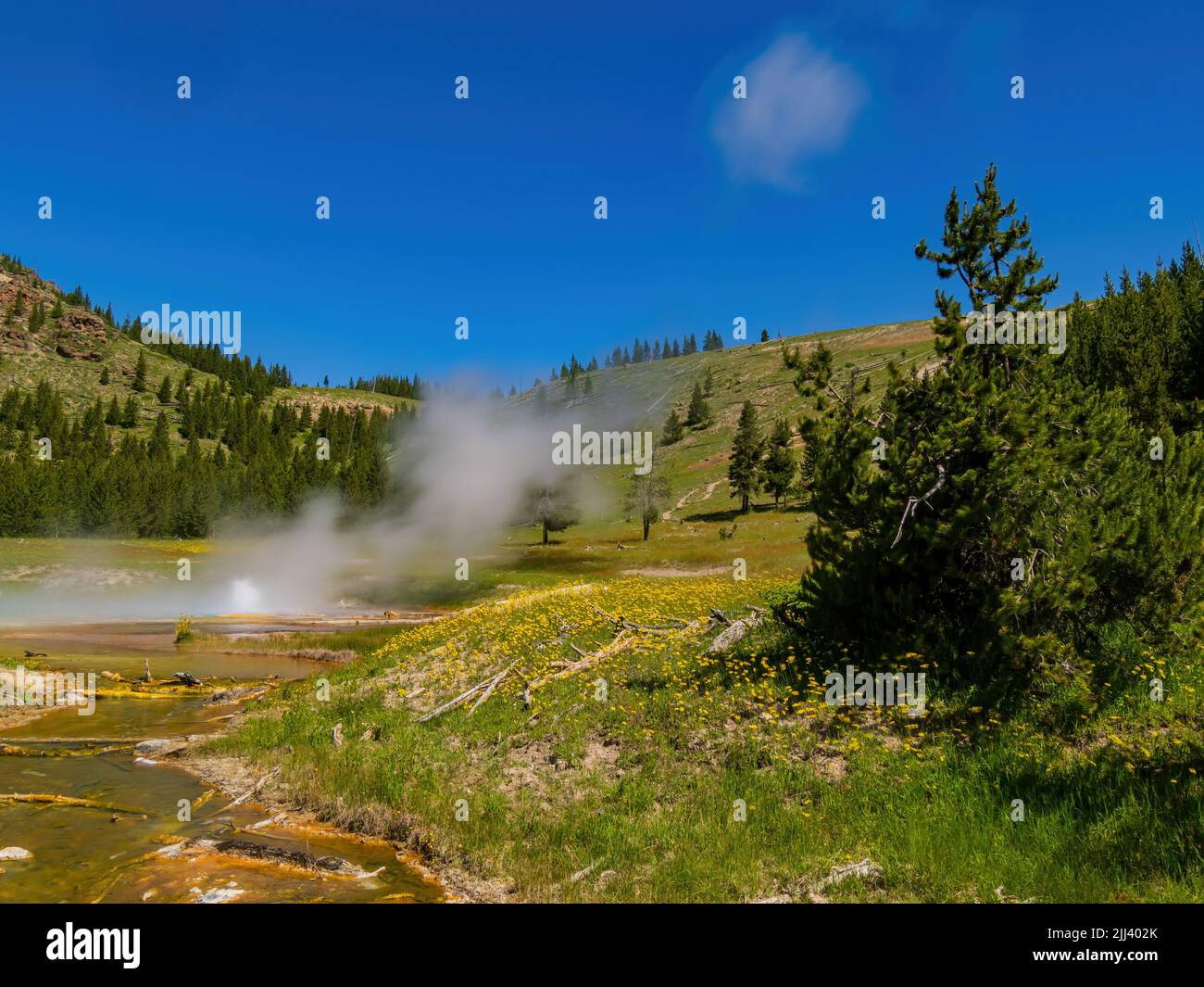 Vista soleggiata dello splendido paesaggio di Imperial Geyser nel Wyoming Foto Stock