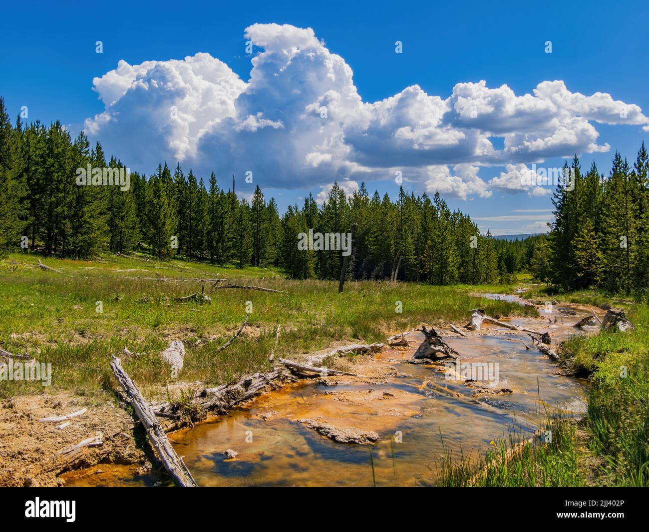 Vista soleggiata del bellissimo paesaggio lungo il sentiero Imperial Geyser nel Wyoming Foto Stock