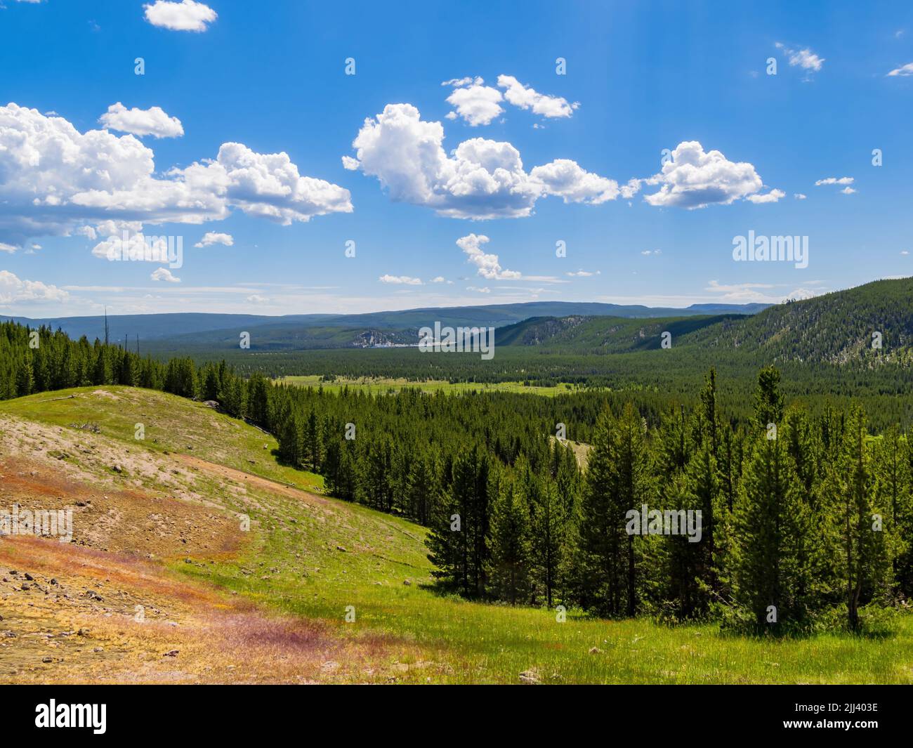 Vista soleggiata ad alto angolo dello splendido paesaggio del parco nazionale di Yellowstone nel Wyoming Foto Stock