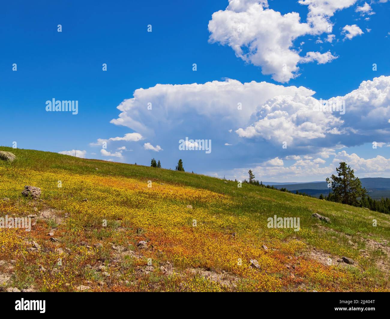 Vista soleggiata ad alto angolo dello splendido paesaggio del parco nazionale di Yellowstone nel Wyoming Foto Stock