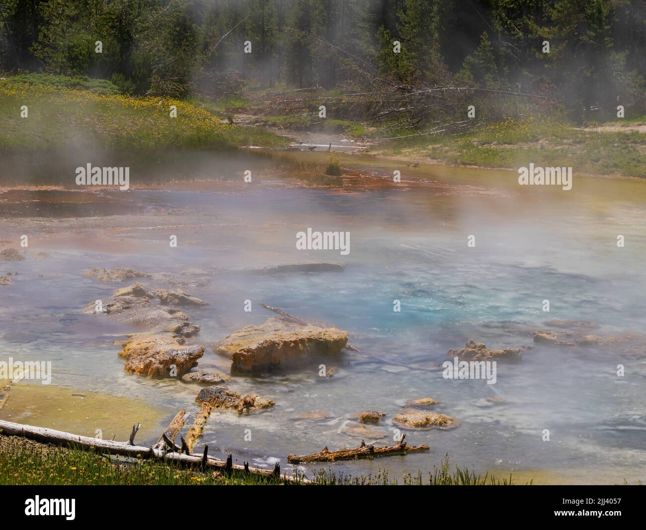 Vista soleggiata dello splendido paesaggio di Imperial Geyser nel Wyoming Foto Stock