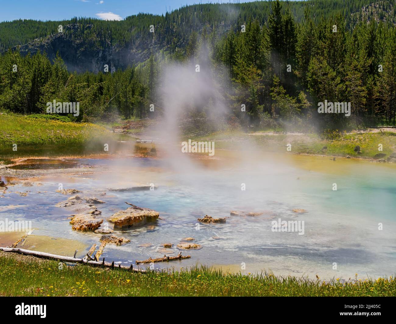 Vista soleggiata dello splendido paesaggio di Imperial Geyser nel Wyoming Foto Stock