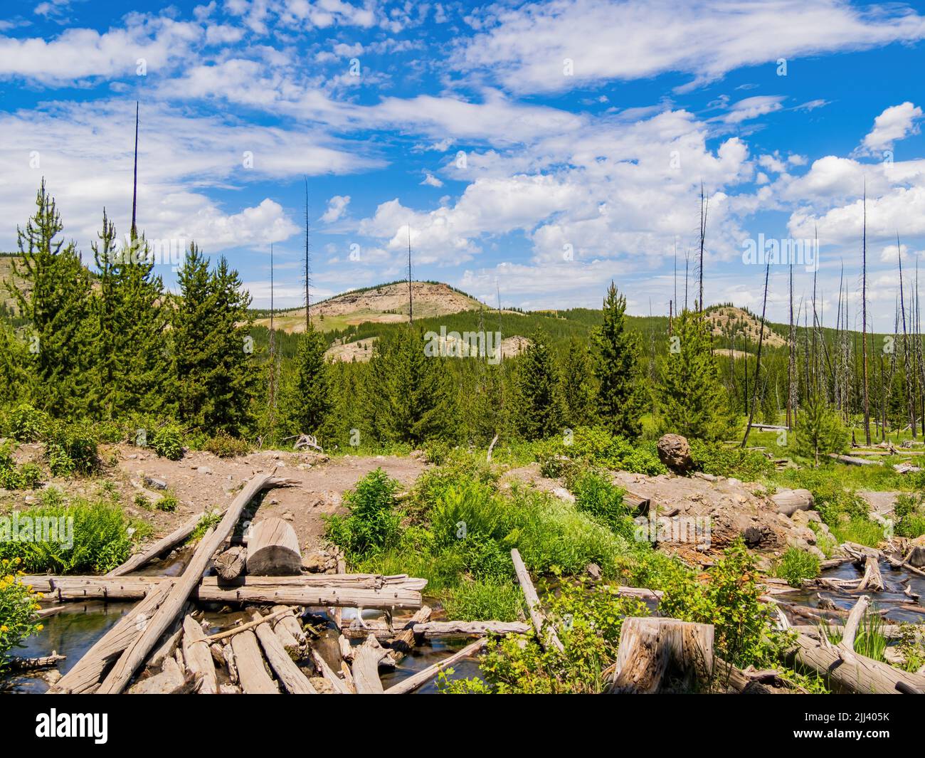 Vista soleggiata del paesaggio del parco nazionale di Yellowstone nel Wyoming Foto Stock
