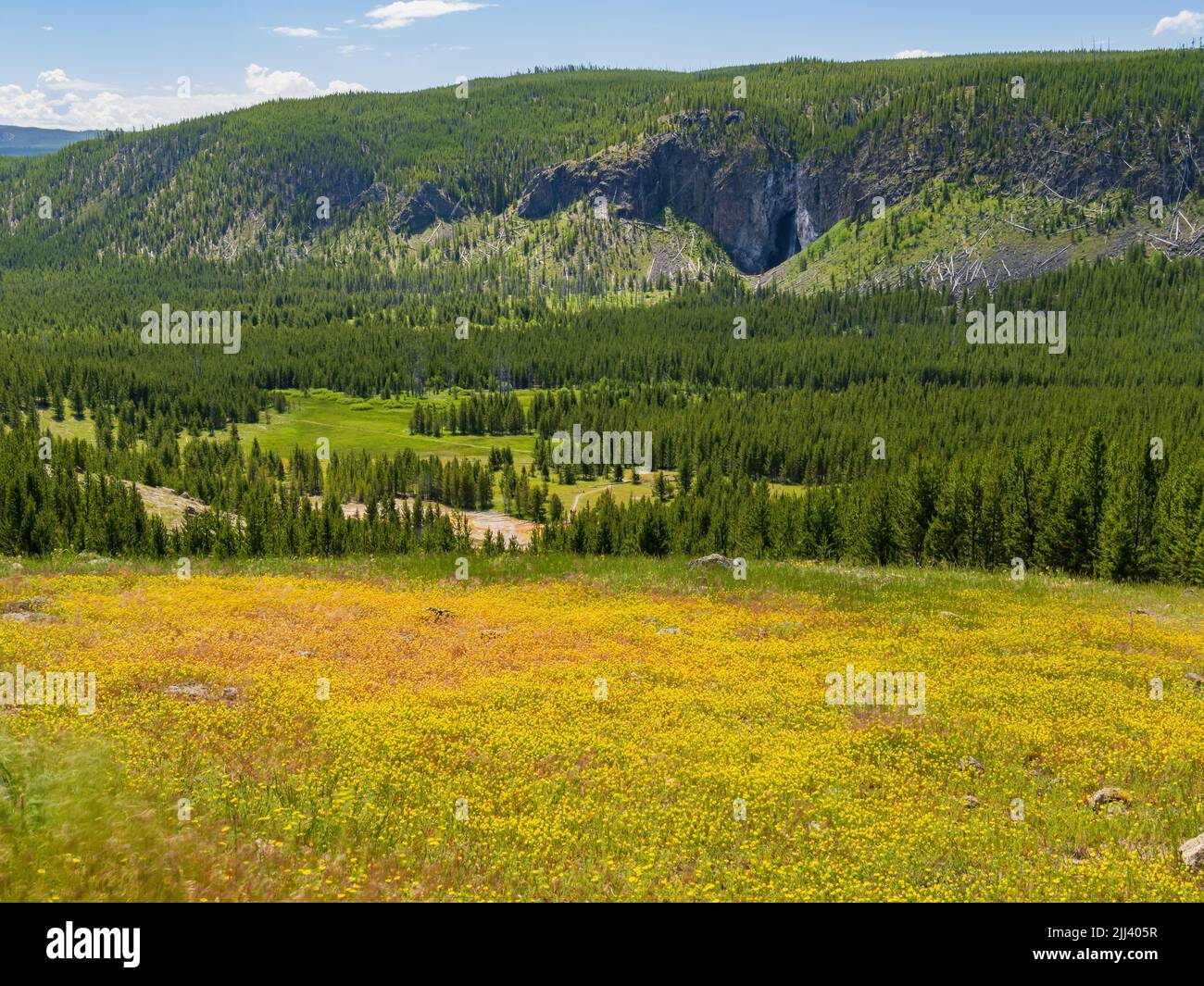 Vista soleggiata ad alto angolo dello splendido paesaggio del parco nazionale di Yellowstone nel Wyoming Foto Stock