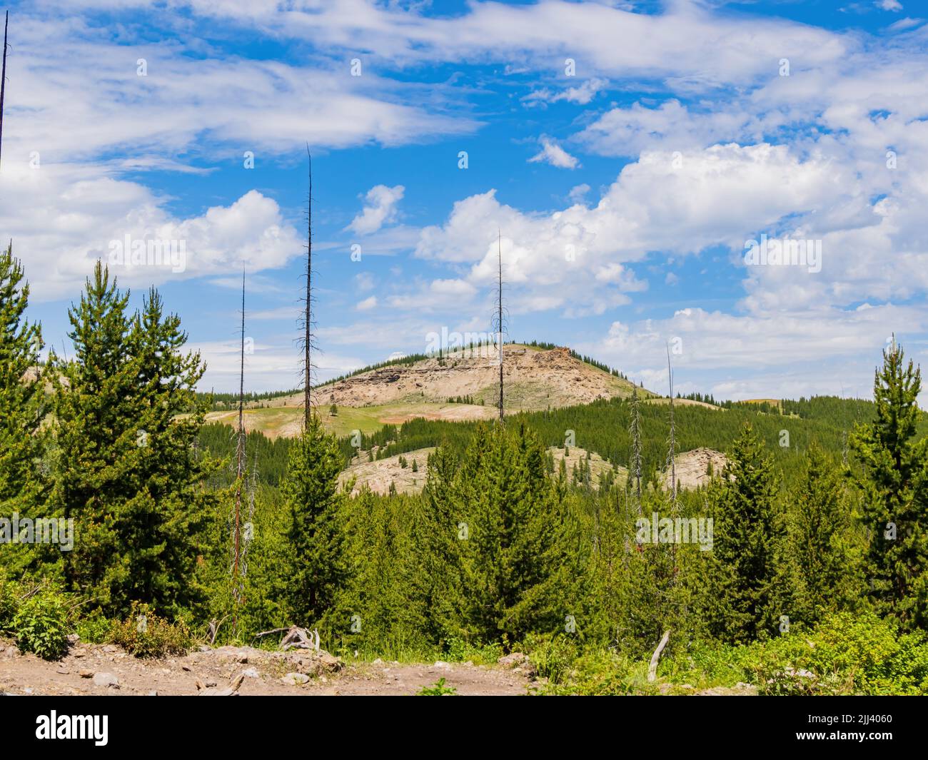 Vista soleggiata del paesaggio del parco nazionale di Yellowstone nel Wyoming Foto Stock