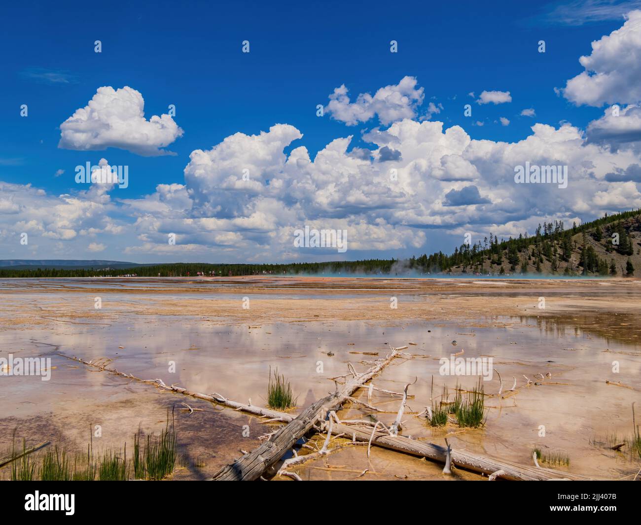 Vista soleggiata del bellissimo paesaggio lungo la sorgente prismatica Grand da terra in Wyoming Foto Stock