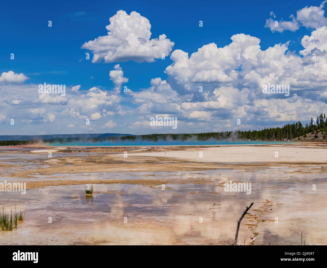 Vista soleggiata del bellissimo paesaggio lungo la sorgente prismatica Grand da terra in Wyoming Foto Stock