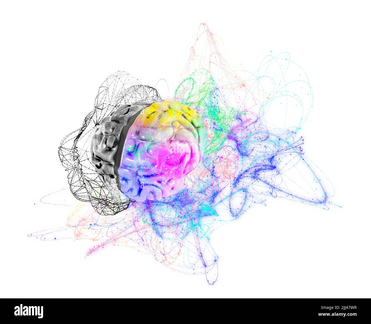 Illustrazione di un cervello umano con gli emisferi cerebrali sinistro e destro. Foto Stock