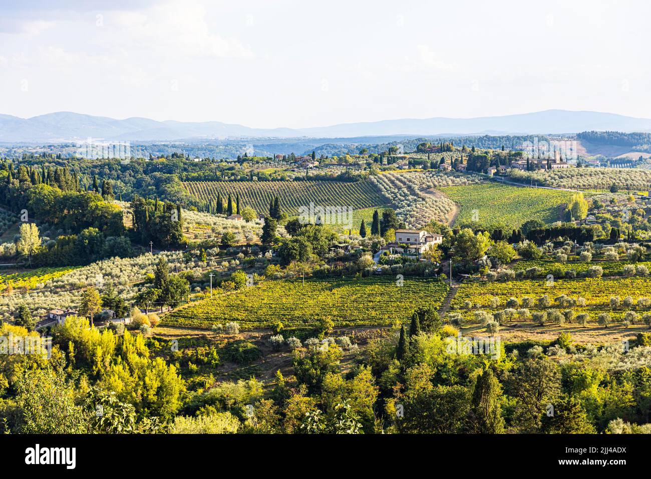 Paesaggio collinare con oliveti e vigneti, vista dalle mura della città, San Gimignano, Toscana, Italia Foto Stock