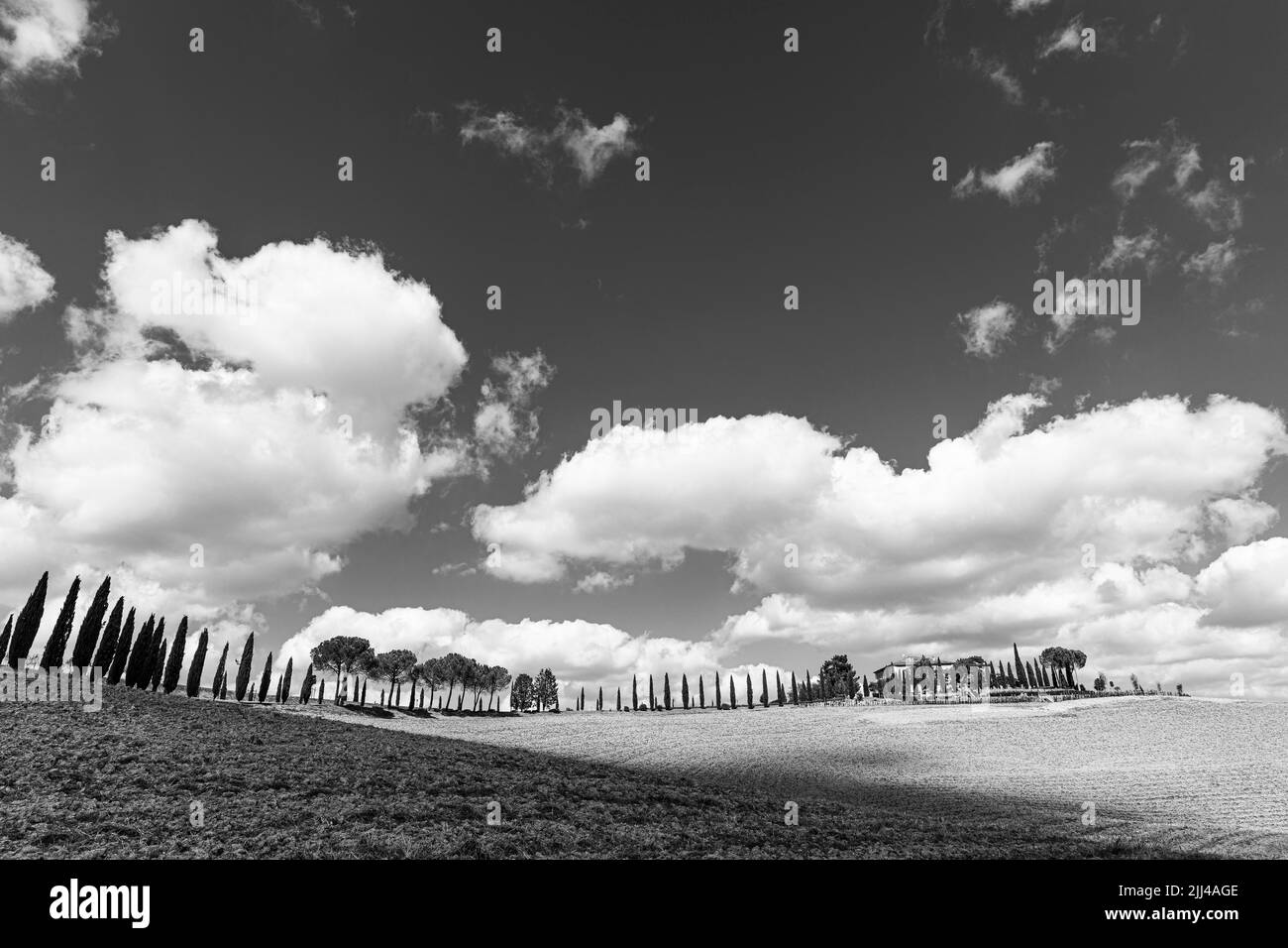 Casa di campagna su una collina con viale cipresso, fotografia in bianco e nero, nei pressi di Montalcino, Toscana, Italia Foto Stock