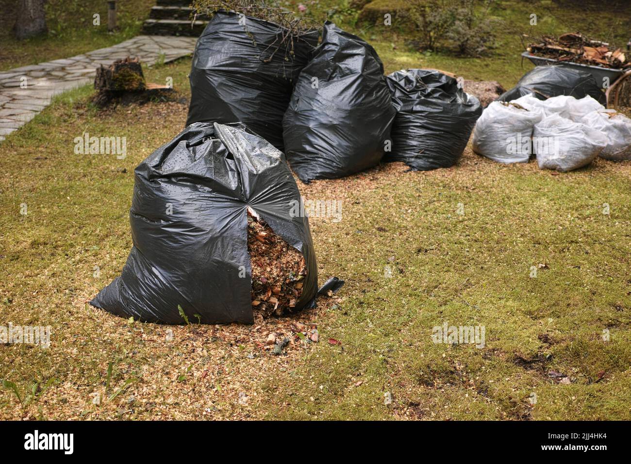 un sacchetto di plastica lacerato con foglie e segatura abbandonate a terra del parco o del giardino Foto Stock