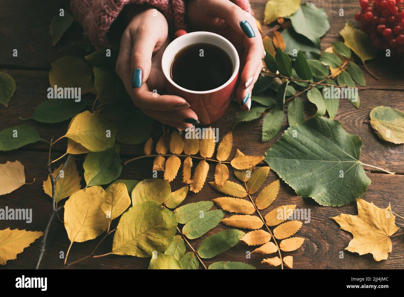 Donna ottenere calore con il tè sullo sfondo autunno Foto Stock