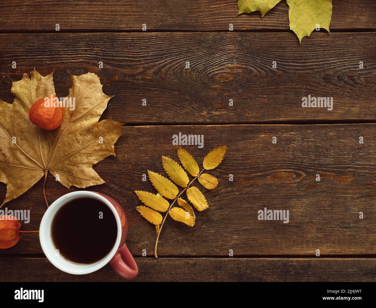 autunno tè caldo foglie legno superficie concetto Foto Stock
