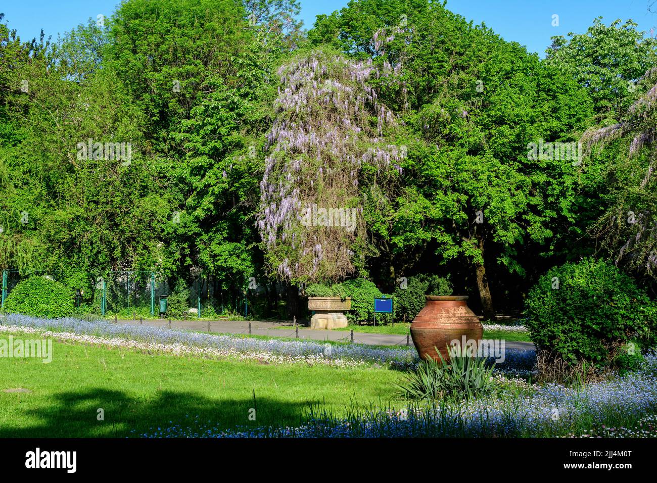 Paesaggio con alberi verdi, foglie, orologio d'annata e molti piccoli fiori in una giornata di sole sprning all'ingresso del Giardino Cismigiu (Gradina Cismigiu) in Foto Stock