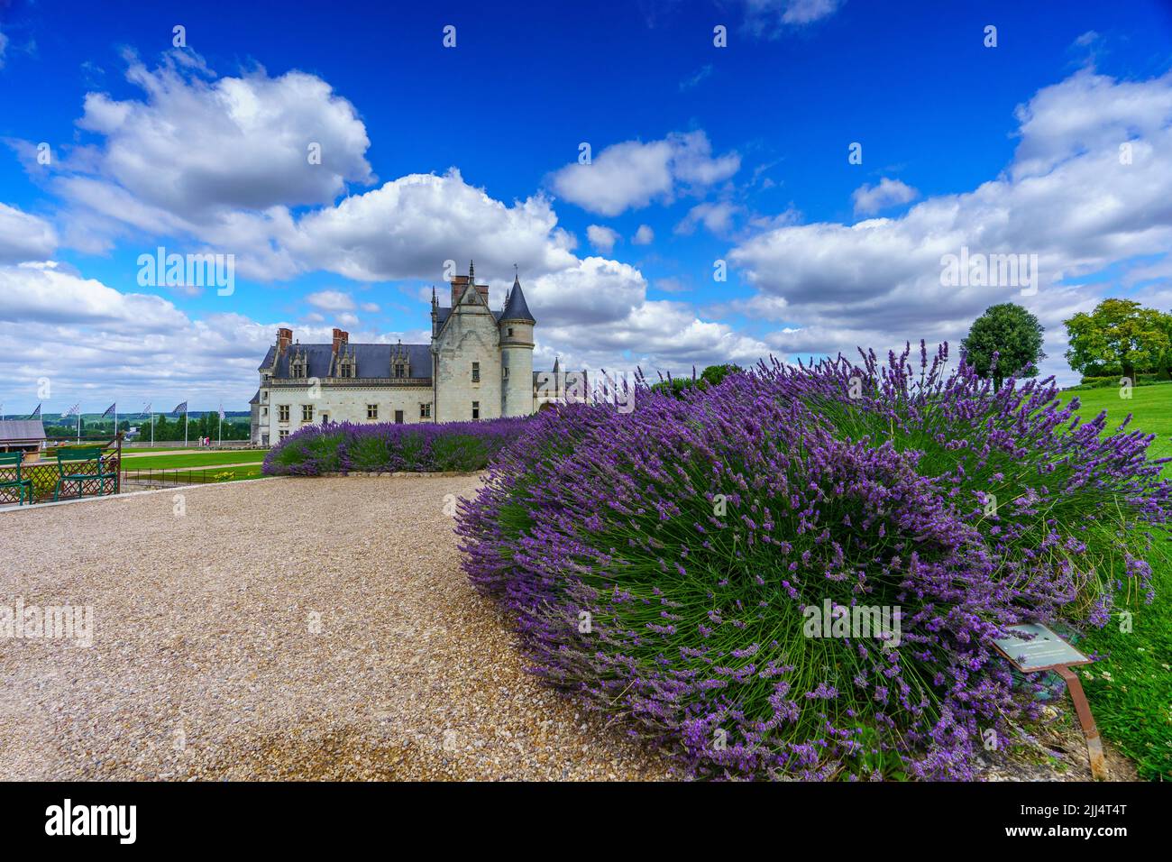 Castello reale d'Amboise (Francia) Foto Stock