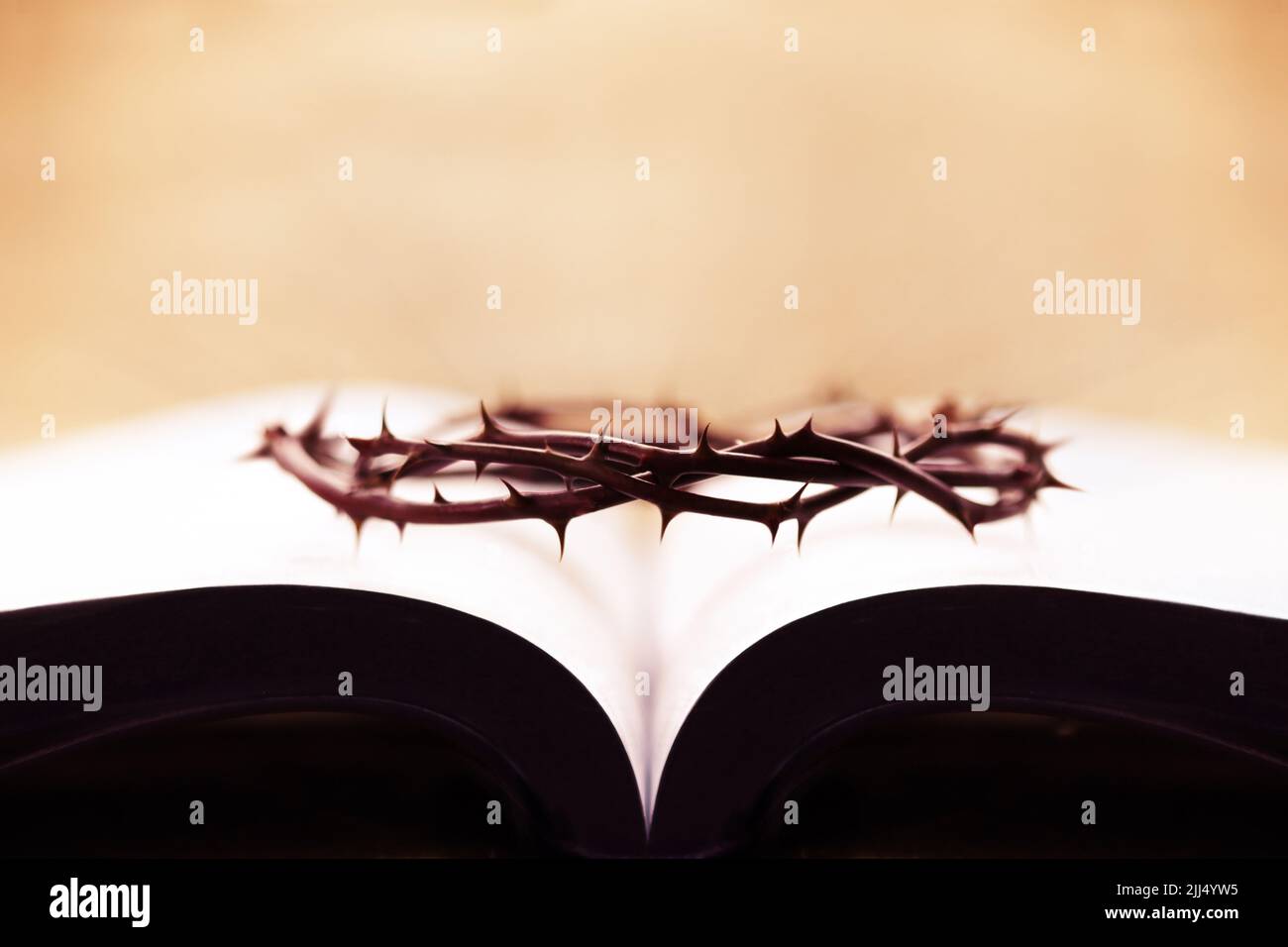 Corona di spine che simboleggia la crocifissione sofferente, la morte e la risurrezione di Gesù Cristo e la Sacra bibbia Foto Stock