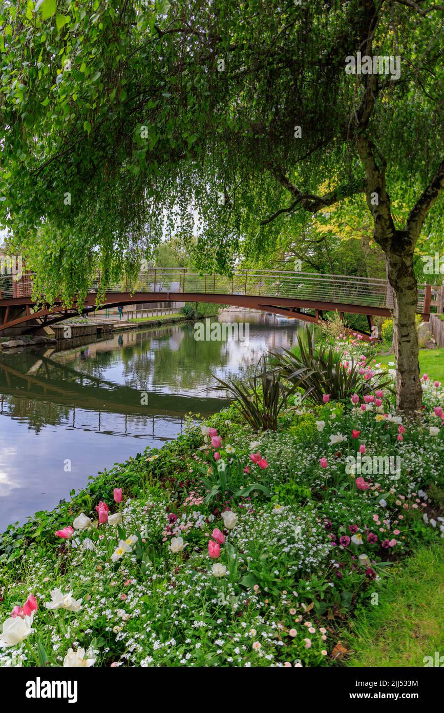 Fiume Eure con colorati fiori di primavera a Chartres Eure-et-Loire in Francia Foto Stock