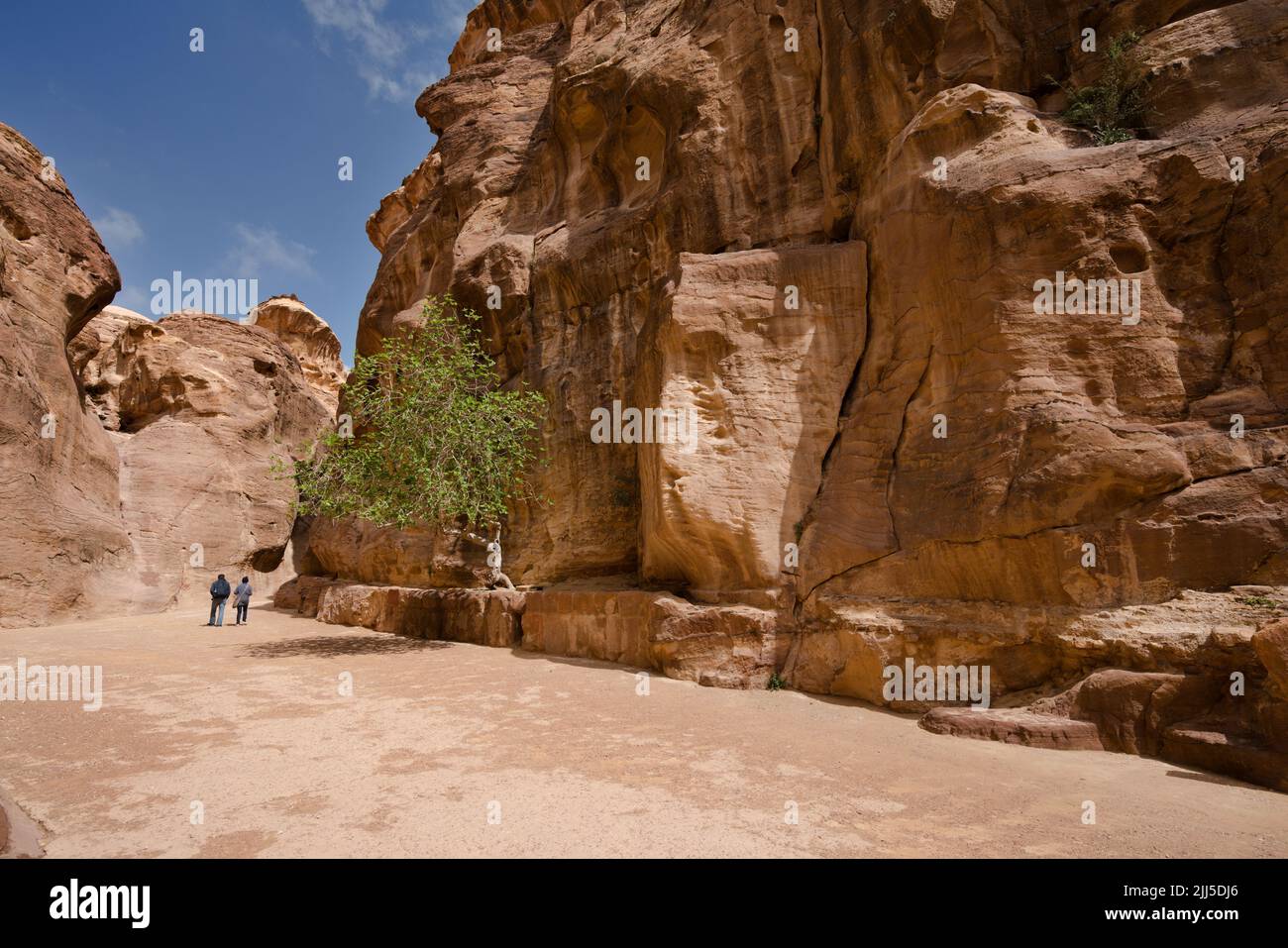 I turisti camminano nel Siq, il canyon dell'antica Petra. Dal 1985, Petra è patrimonio dell'umanità dell'UNESCO Foto Stock