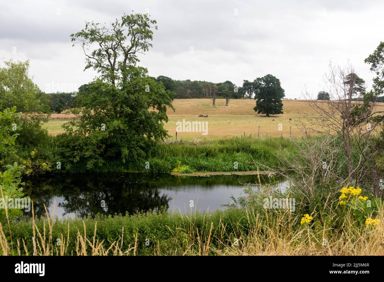 The River Avon nel Warwick Castle Park, Warwickshire, Inghilterra, Regno Unito Foto Stock