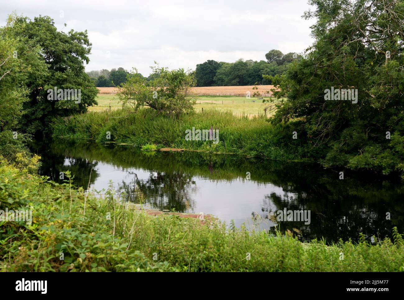 The River Avon nel Warwick Castle Park, Warwickshire, Inghilterra, Regno Unito Foto Stock