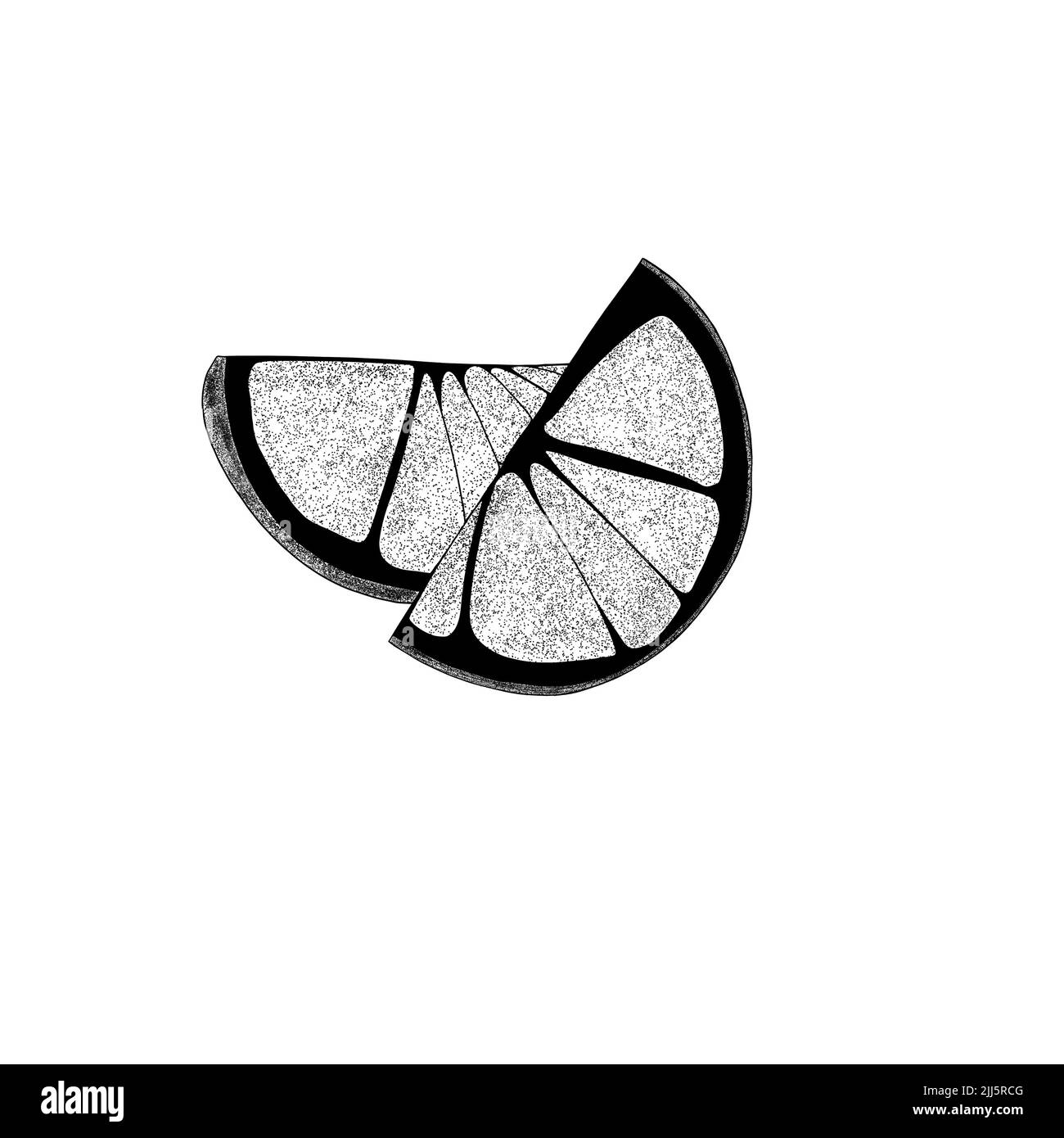 Limone sfilato a mano, fiore di limone, fette di agrumi e foglie. Illustrazione della fetta organica di agrumi su sfondo bianco. Per il tuo web design. Foto Stock