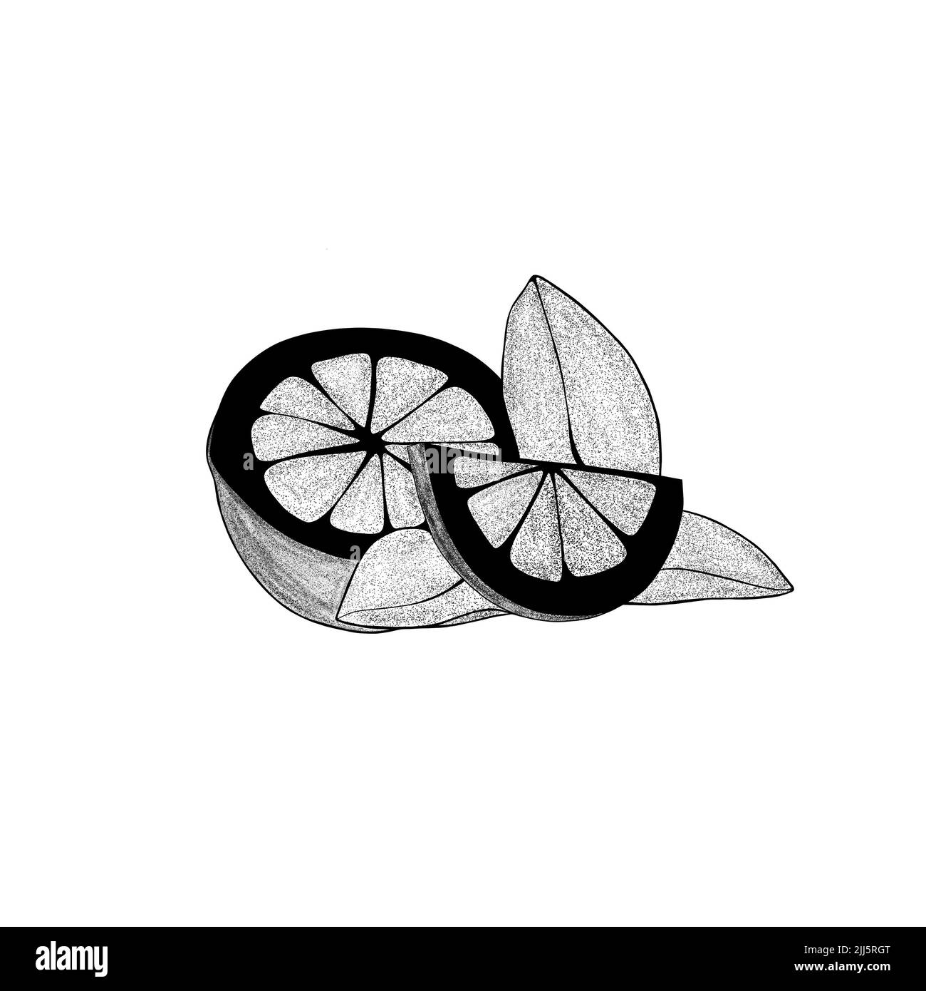 Una fetta di limone disegnata a mano con una foglia e mezzo limone. Illustrazione della fetta organica di agrumi su sfondo bianco. Per il tuo web design. Foto Stock