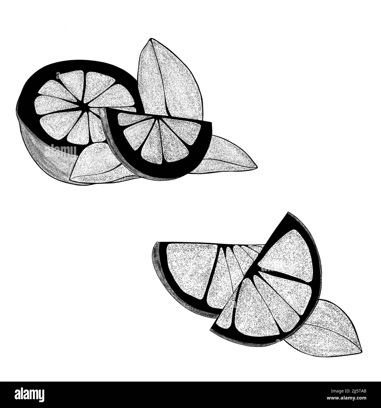 Impostare a mano due fette di limone e una foglia. Illustrazione della fetta organica di agrumi su sfondo bianco. Per il tuo web design. Foto Stock