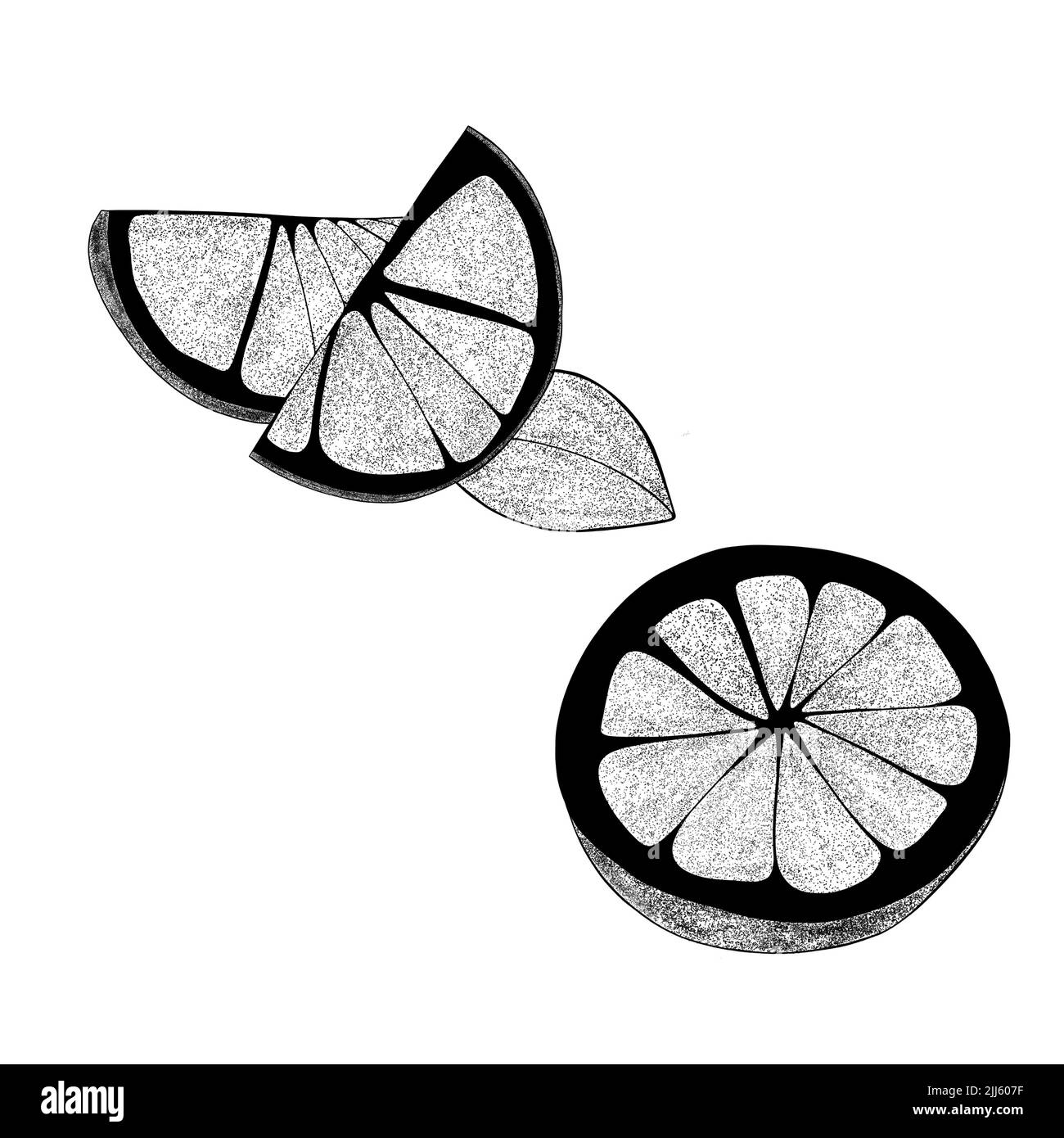 Impostare a mano due fette di limone e una foglia. Illustrazione della fetta organica di agrumi su sfondo bianco. Per il tuo web design. Foto Stock