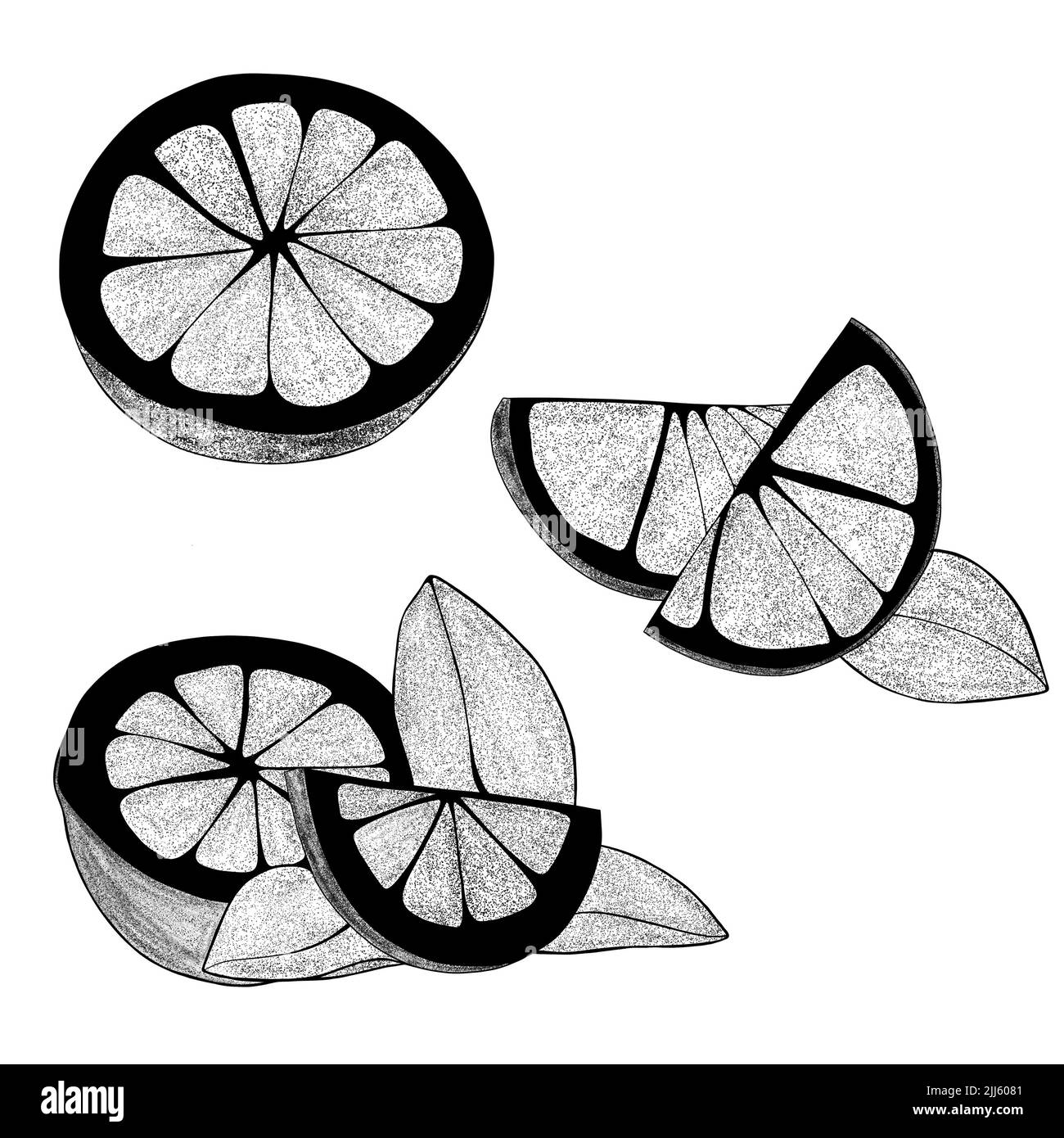 Set di limoni disegnati a mano con foglie: Spicchi di limone, mezzo limone. Illustrazione della fetta organica di agrumi su sfondo bianco. Per il tuo web design. Foto Stock