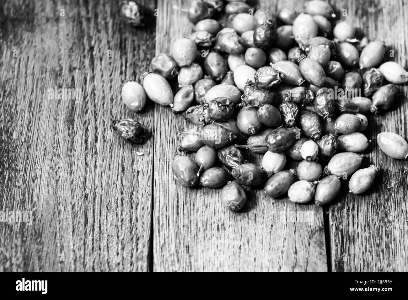 Rosa canina essiccata. Rosa o rosa canina, comunemente nota come rosa canina (rosa canina) Foto Stock