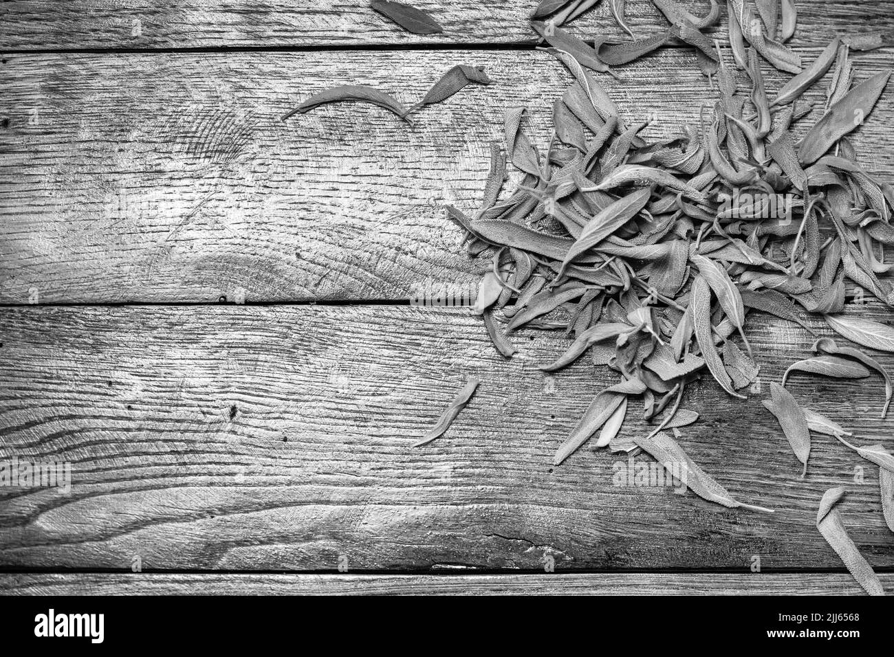 Asciugare le foglie di salvia (Salvia) su una tavola di legno. Foto Stock