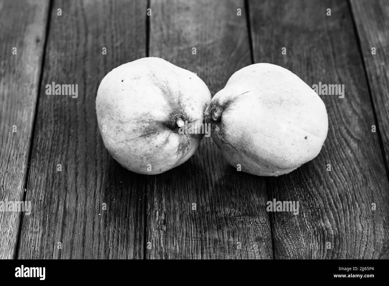 Cotogne isolato. Due cotogne giallo su una tavola di legno. Foto Stock