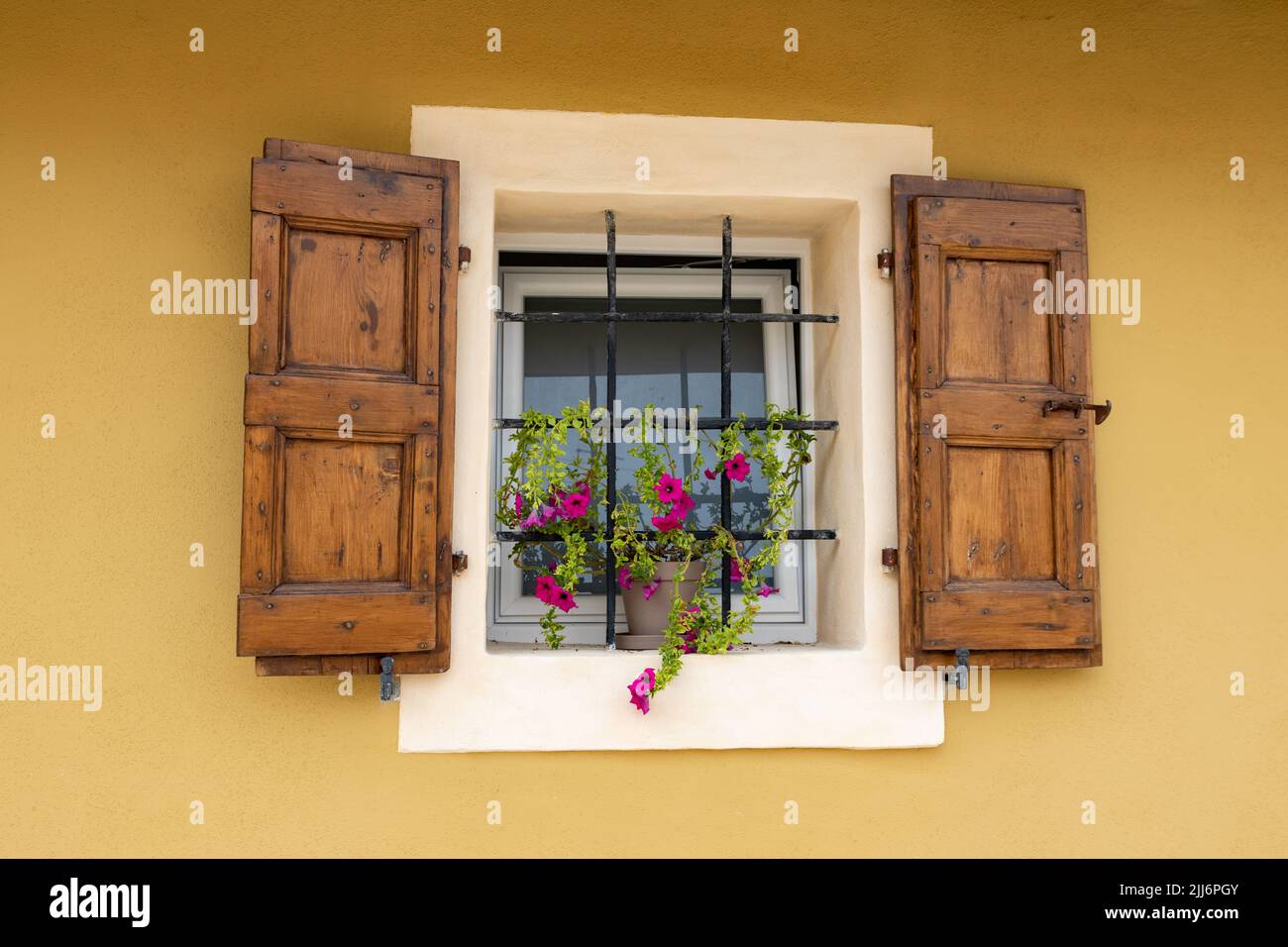 Una bella finestra tipica italiana con bar in acciaio, persiane in legno marrone su una parete intonacata gialla con una pianta di petunia viola in una pentola. Foto Stock