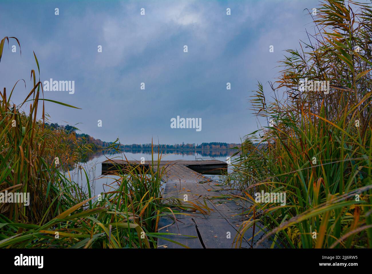 Giornata autunnale cupa, foto di un lago forestale con una superficie tranquilla dell'acqua, un ponte di pesca, riflesso della foresta nelle acque del lago, yello Foto Stock