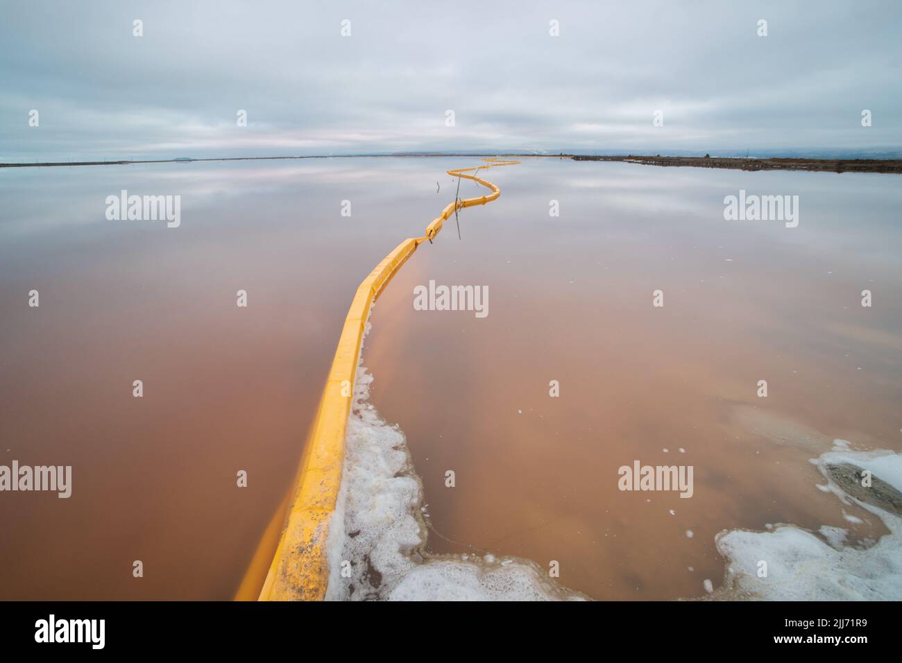 Una barriera di torbidità o un braccio galleggiante per detriti destinato a catturare rifiuti o rifiuti all'Alviso Marina County Park vicino a San Jose, California. Foto Stock