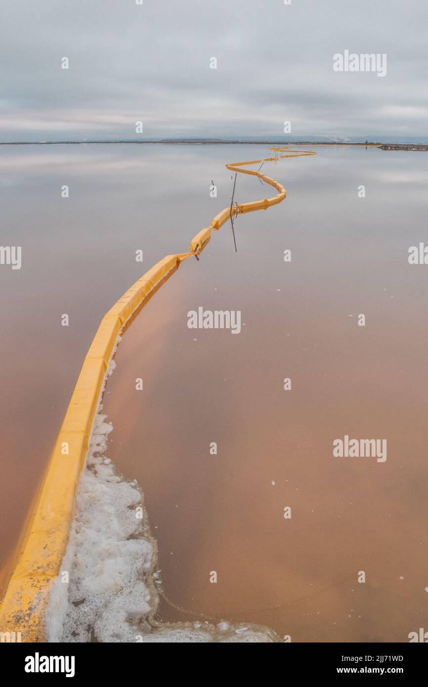 Una barriera di torbidità o un braccio galleggiante per detriti destinato a catturare rifiuti o rifiuti all'Alviso Marina County Park vicino a San Jose, California. Foto Stock